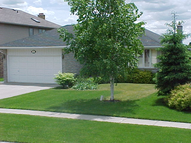 Guelph landscaping before